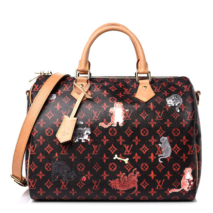 Louis Vuitton Catogram Speedy Bandouliere 30 Marron 1 of 20