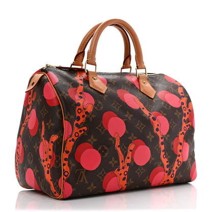 Louis Vuitton Monogram Ramages Speedy 30 Grenade 3 of 10