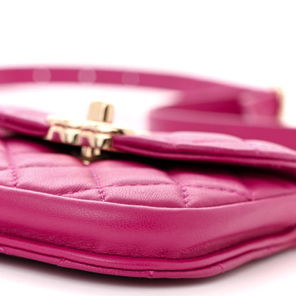 Chanel Tweed Lambskin Quilted Waist Bag With Coin Purse Fuchsia 12 of 15