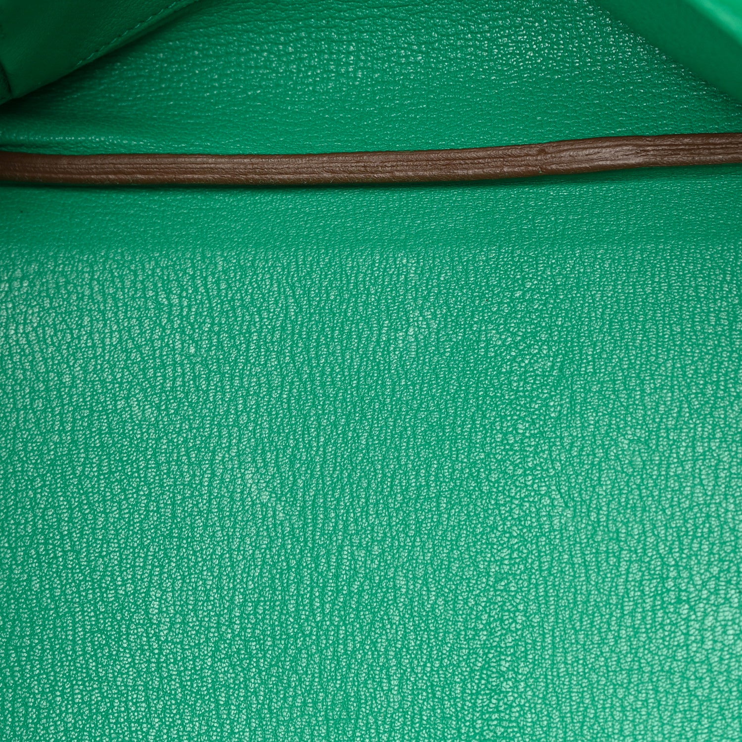 Hermes Taurillon Clemence Birkin 35 Menthe 13 of 26