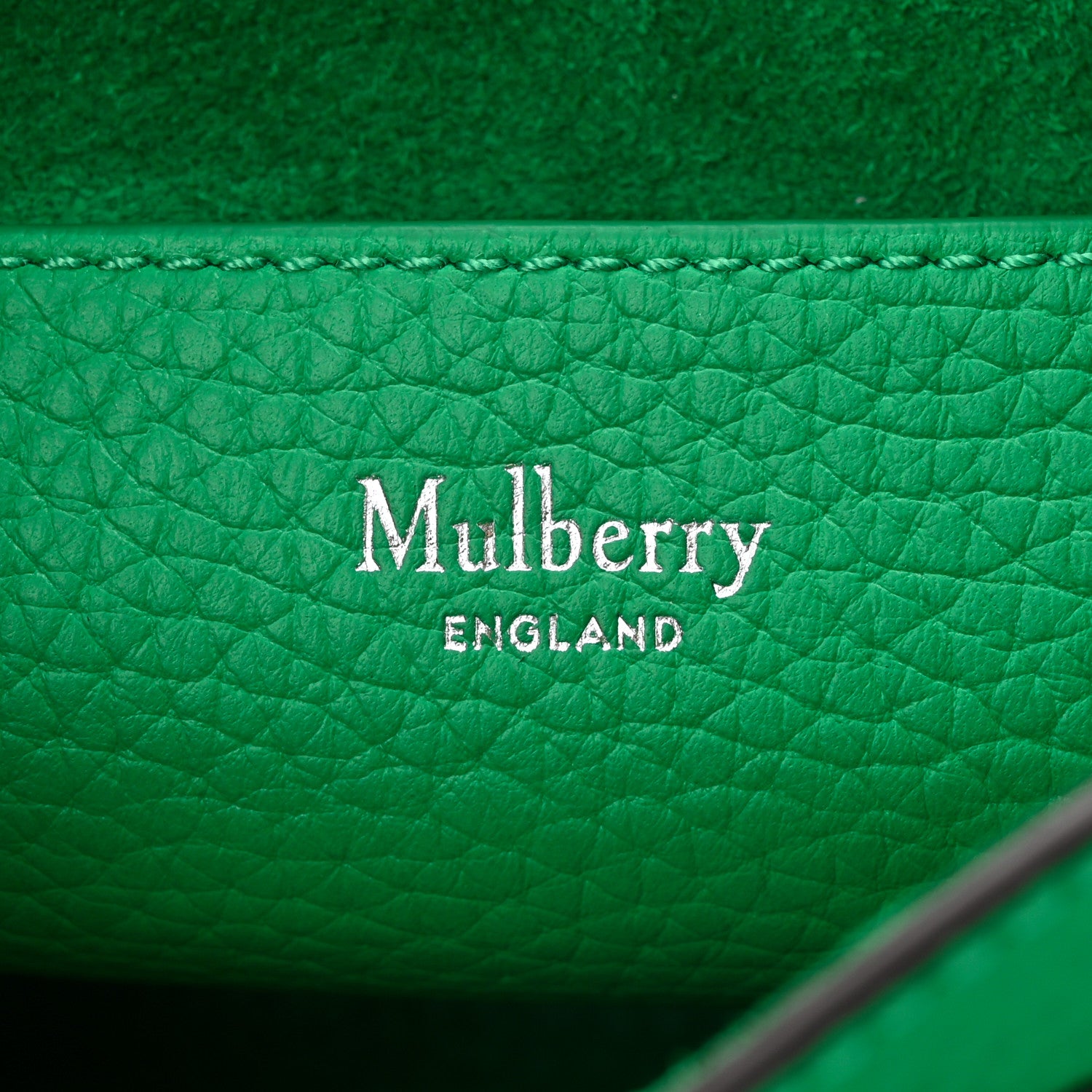 Mulberry Heavy Grain Mini Alexa Lawn Green 6 of 9