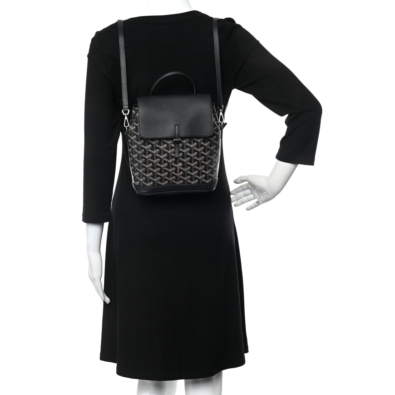 Goyard Goyardine Calfskin Mini Alpin Backpack Black 2 of 9