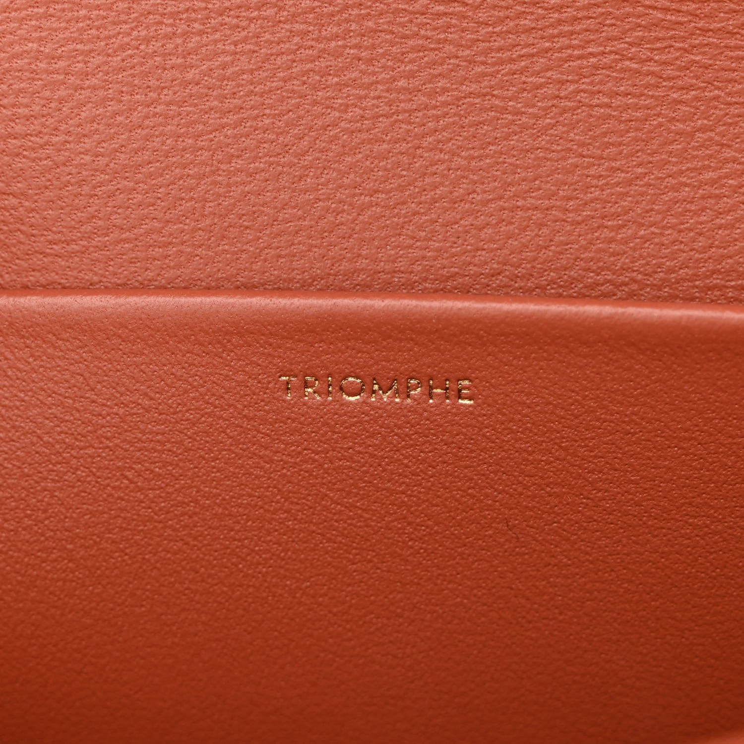 Celine Shiny Calfskin Triomphe Shoulder Bag Terracotta 8 of 14
