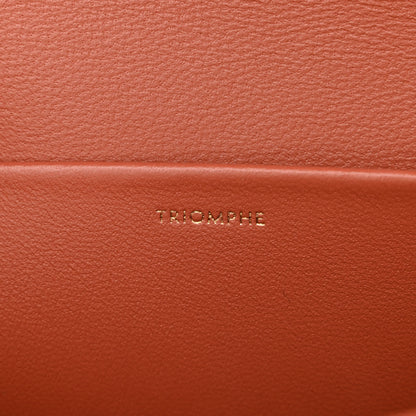 Celine Shiny Calfskin Triomphe Shoulder Bag Terracotta 8 of 14