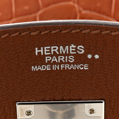 Hermes Chevre Mysore Shiny Niloticus Crocodile Birkin Touch 30 Noisette Etrusque 6 of 11