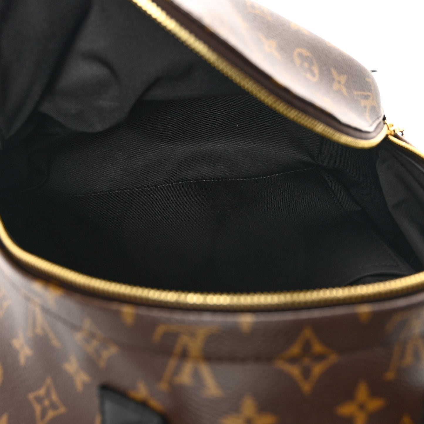 Monogram Palm Springs Backpack MM