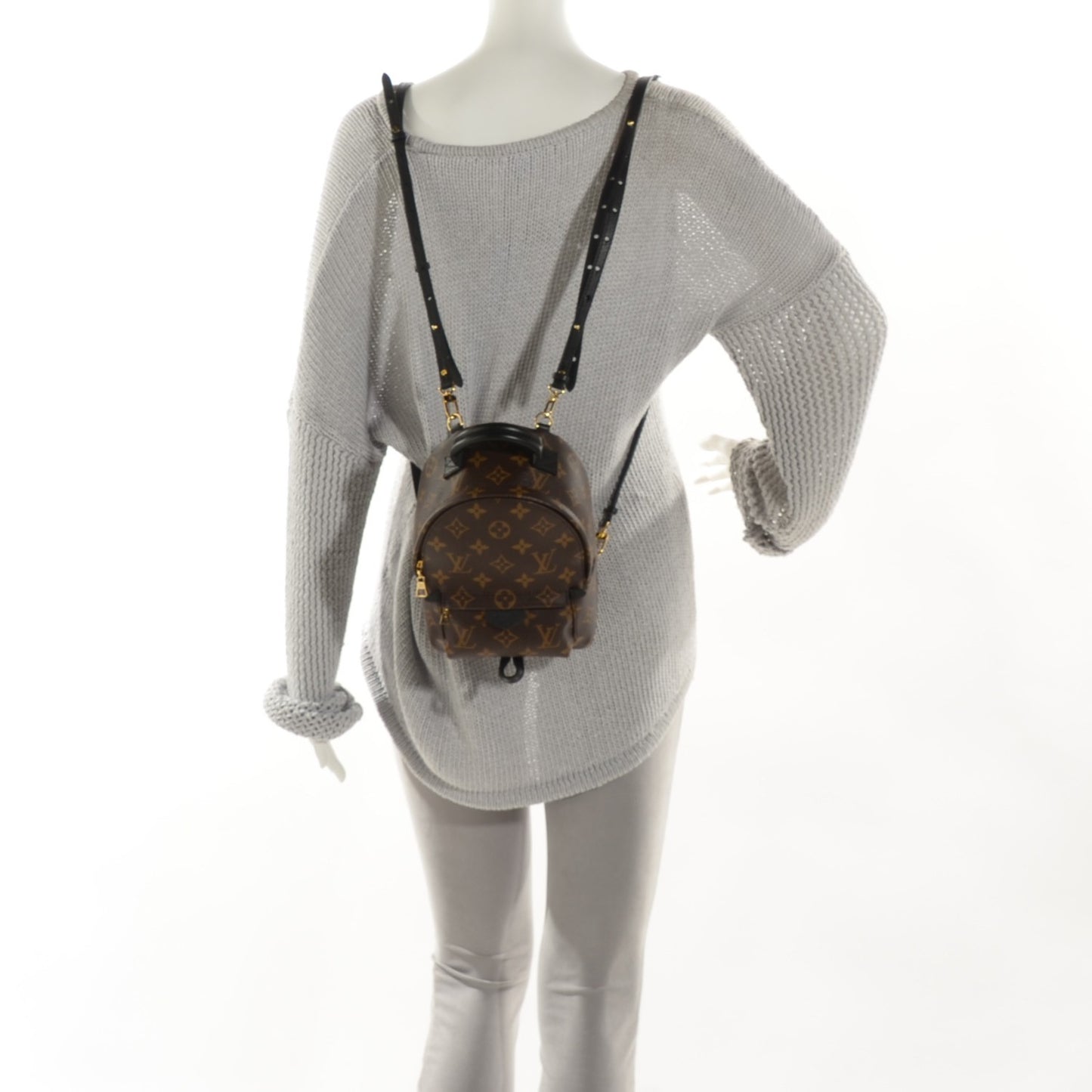 Monogram Palm Springs Backpack Mini