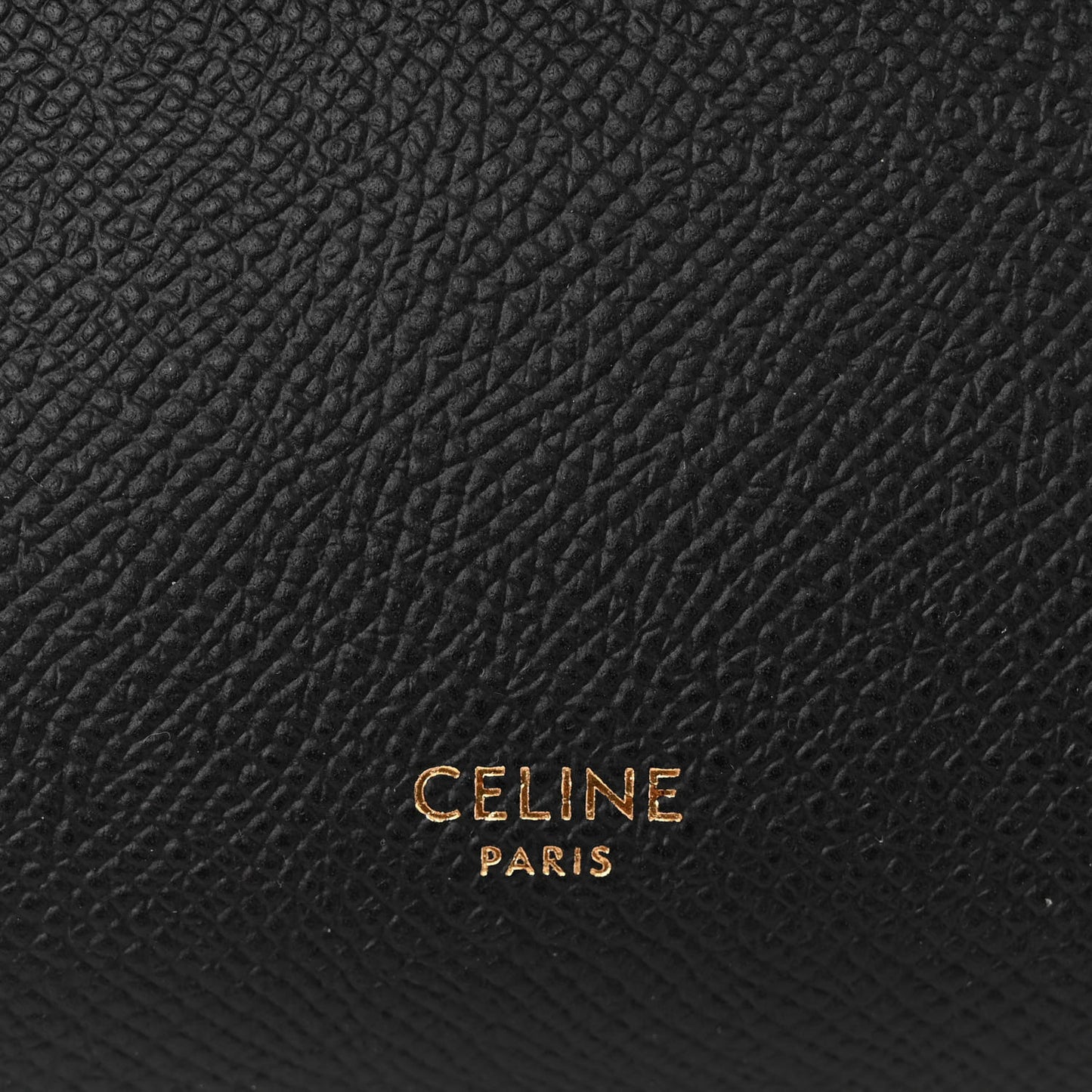 Grained Calfskin Nano Belt Bag Black
