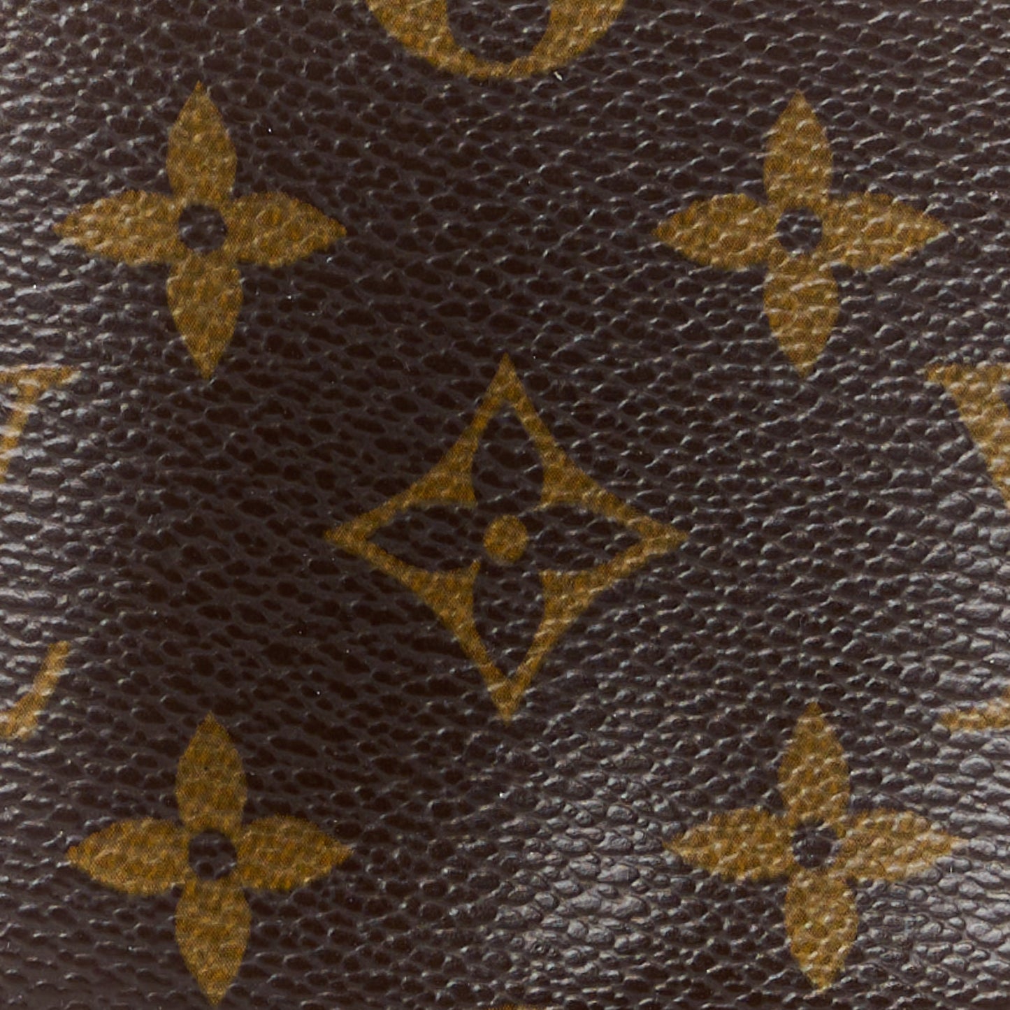 Monogram Mini Pochette Accessories
