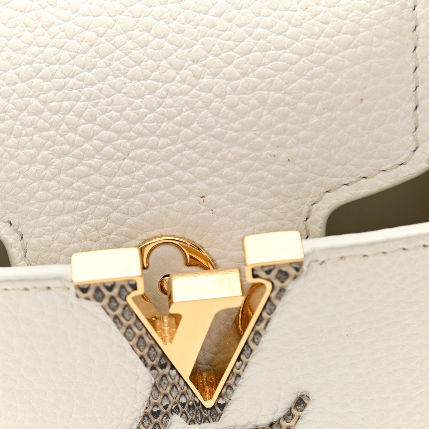 Louis Vuitton Taurillon Ayers Capucines Mini White Snow White 10 of 10