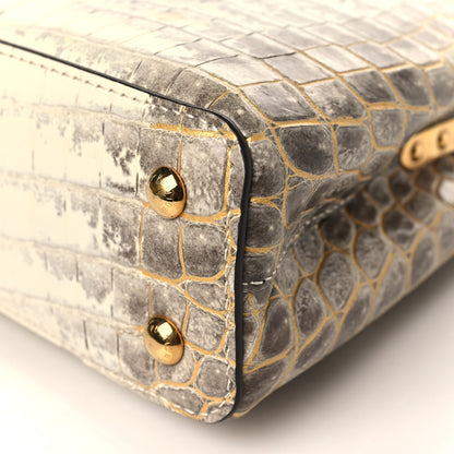 Louis Vuitton Himalaya Crocodile Mini Capucines 8 of 8