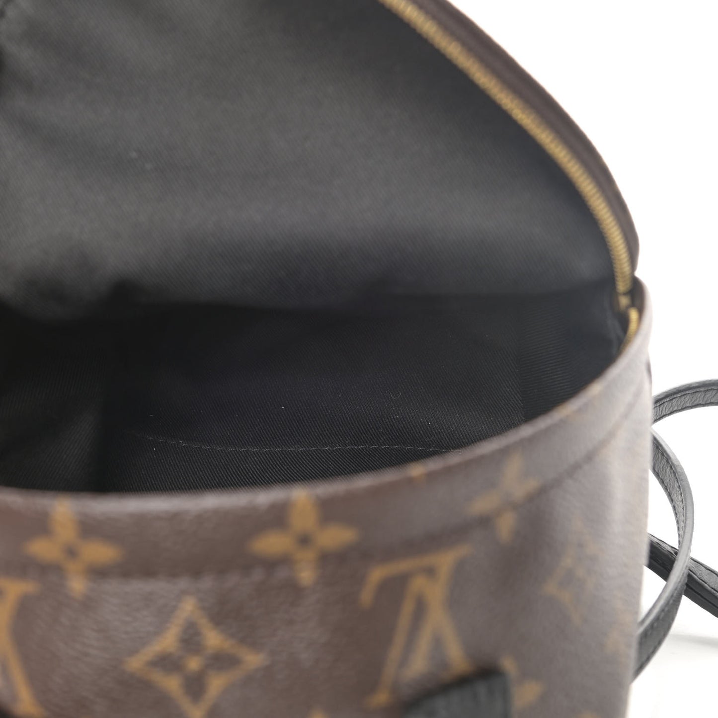 Monogram Palm Springs Backpack Mini