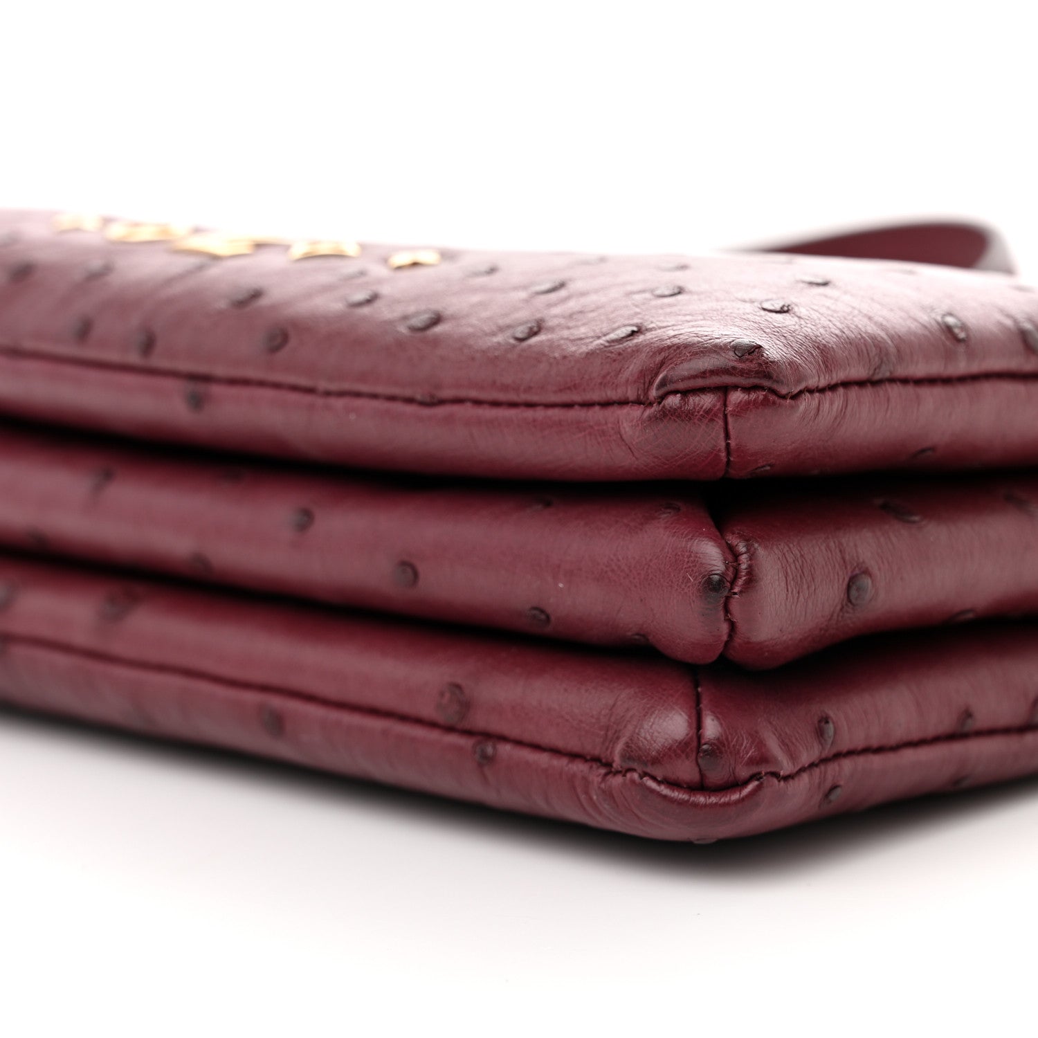 Louis Vuitton Ostrich Coussin BB Bordeaux 9 of 10
