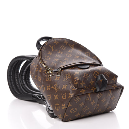 Louis Vuitton Monogram Palm Springs Backpack PM 4 of 10