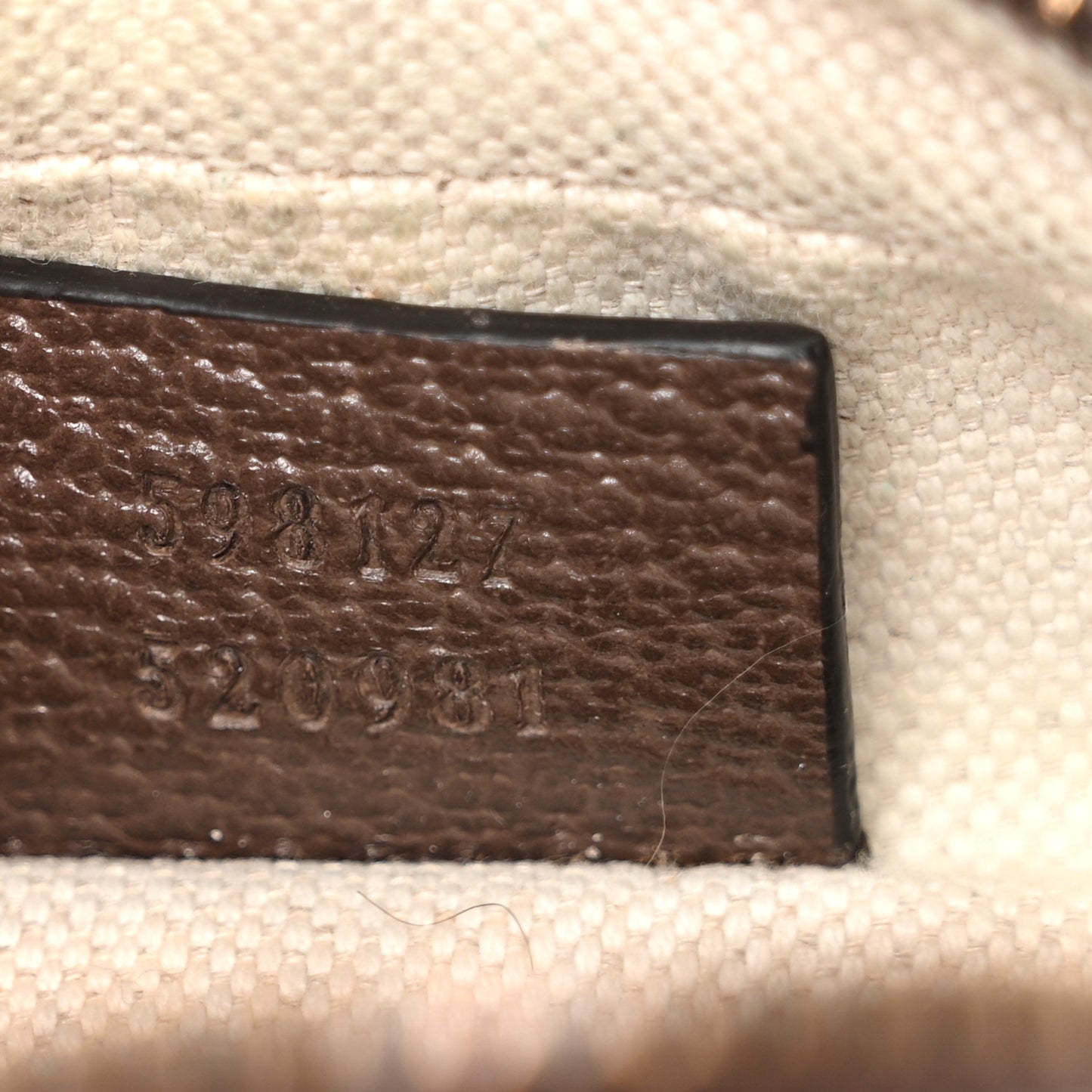 GG Supreme Monogram Web Mini Ophidia Messenger Brown
