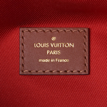 Louis Vuitton Monogram Teddy Bumbag 5 of 8