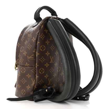 Louis Vuitton Monogram Palm Springs Backpack PM 3 of 12
