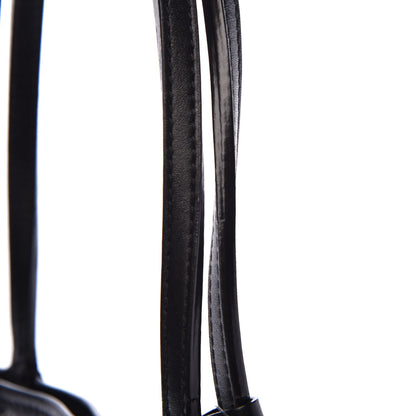 Goyard Goyardine Saint Louis PM Black 15 of 21