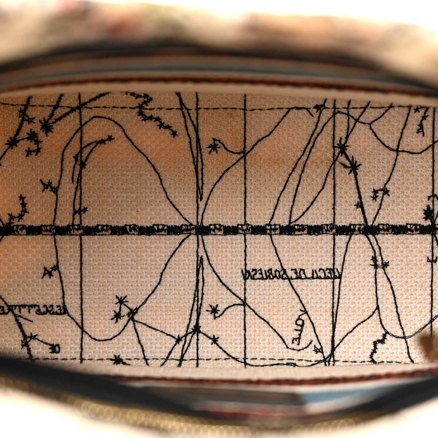 Canvas Constellation Embroidered Medium Lady D-Lite Latte Multicolor