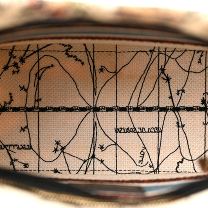 Christian Dior Canvas Constellation Embroidered Medium Lady D-Lite Latte Multicolor 5 of 14