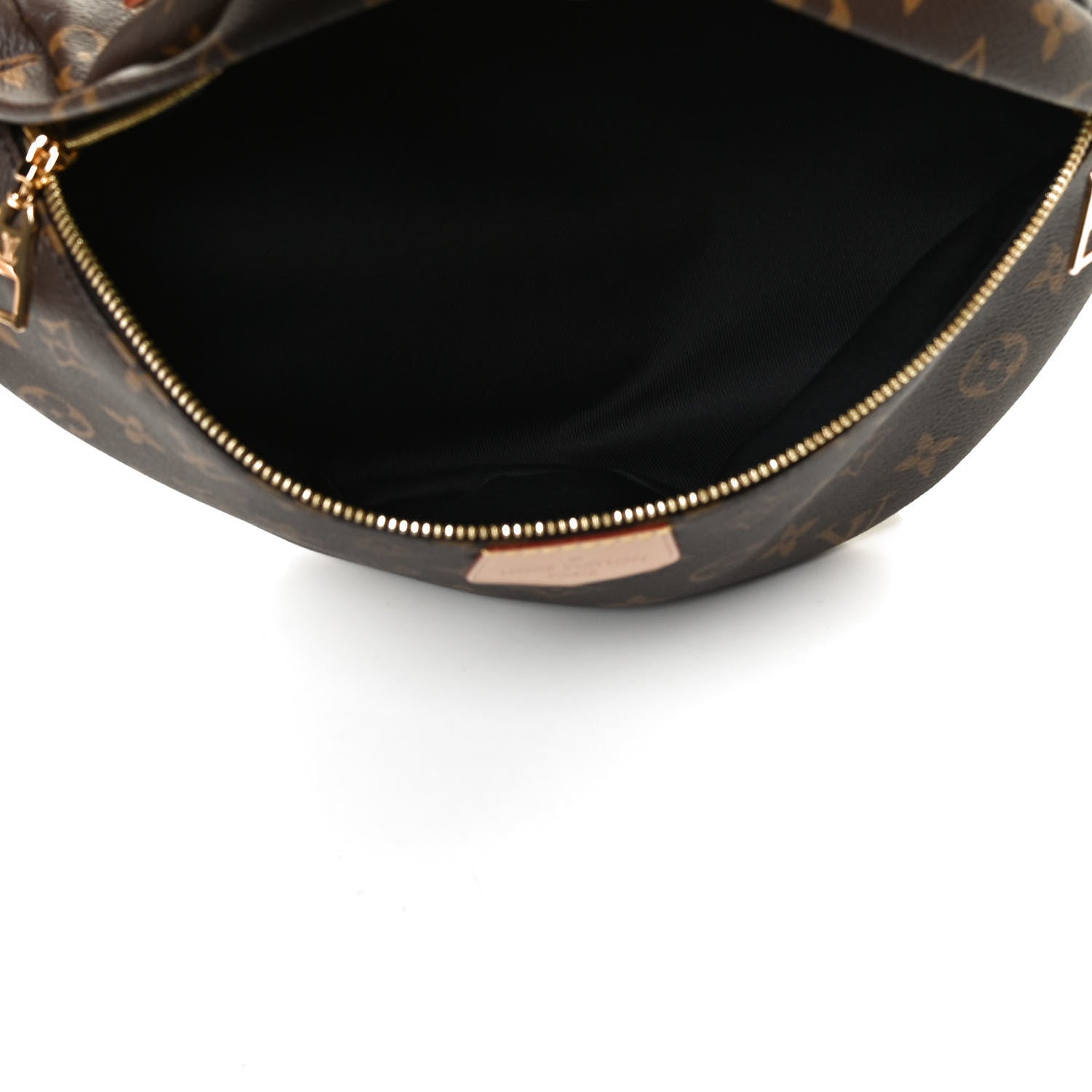 Louis Vuitton Monogram Bumbag 5 of 12