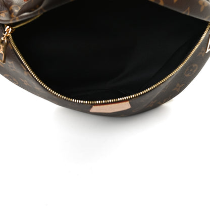 Louis Vuitton Monogram Bumbag 5 of 12