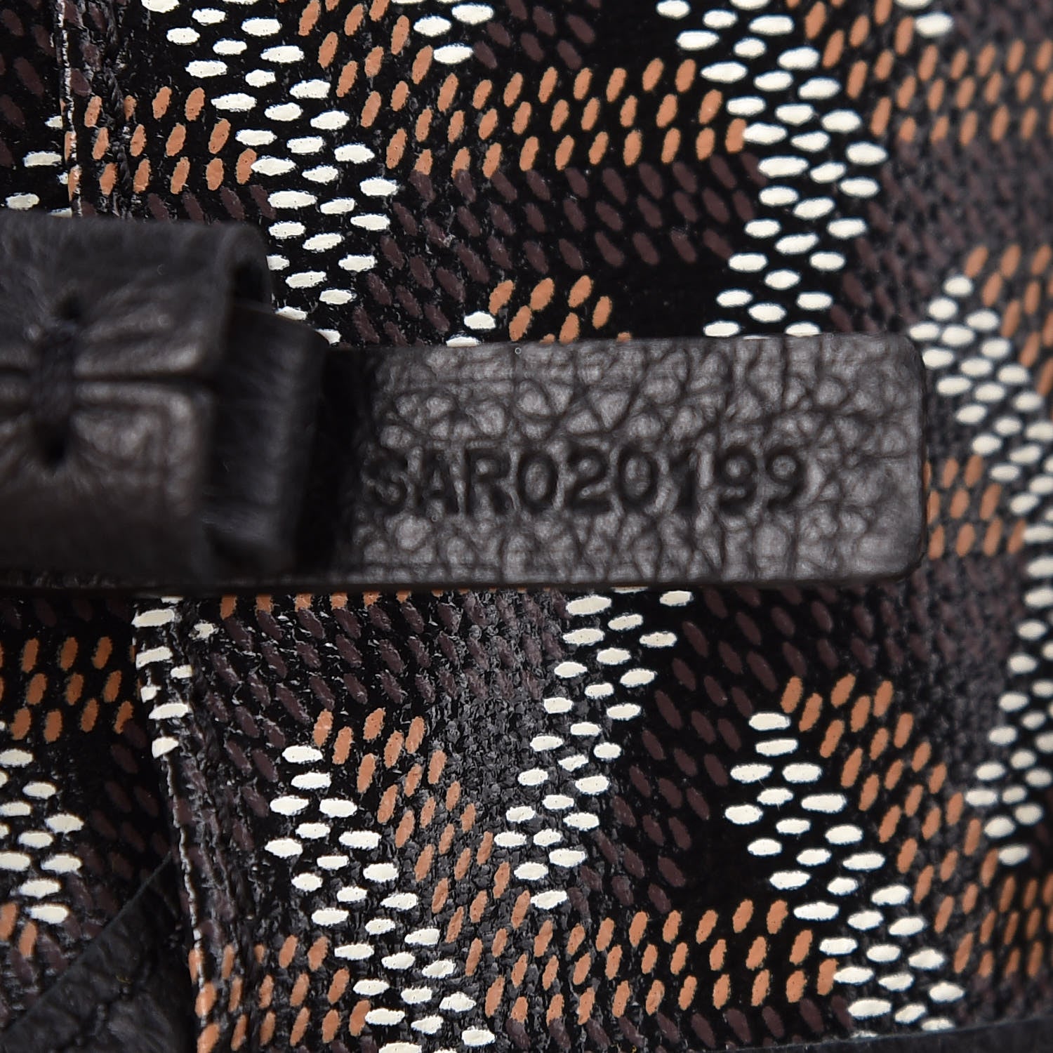Goyard Goyardine Saint Louis PM Black 7 of 10