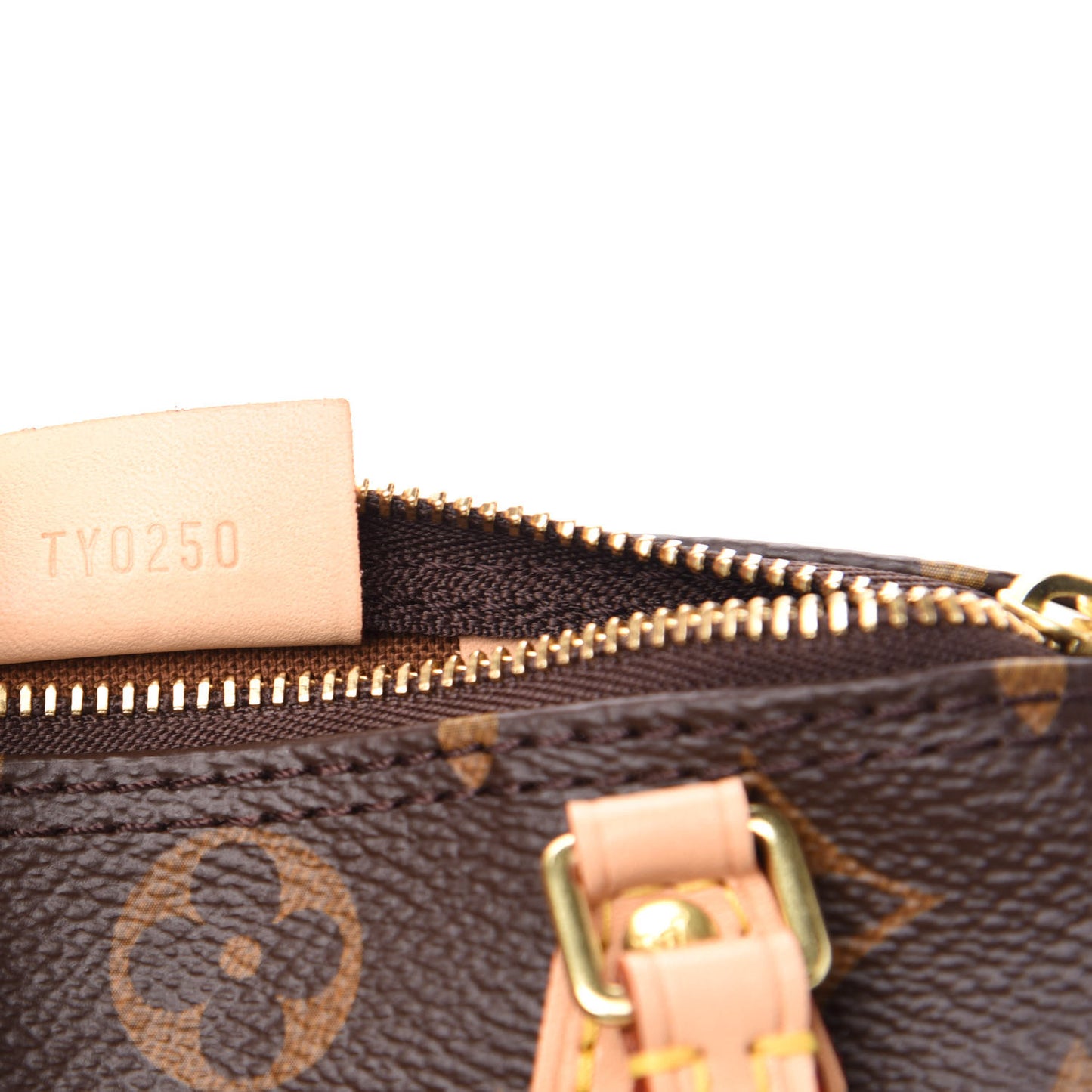 Monogram Nano Speedy