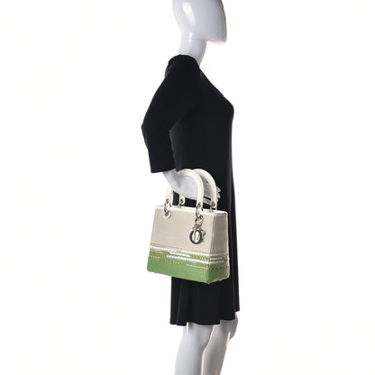 Christian Dior Raffia Medium Lady Dior White Green 2 of 11