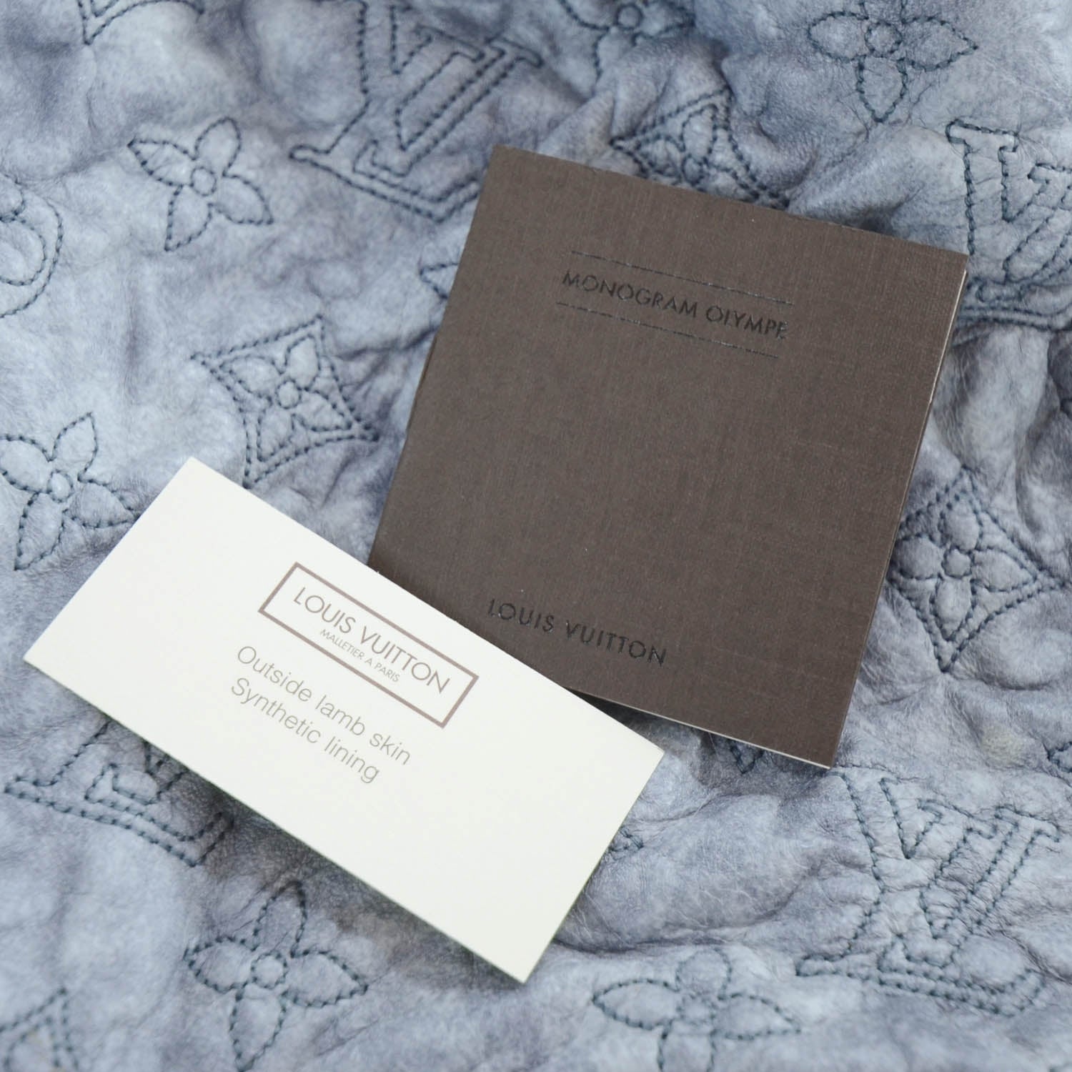 Louis Vuitton Olympe Nimbus PM Gris Gray 13 of 13