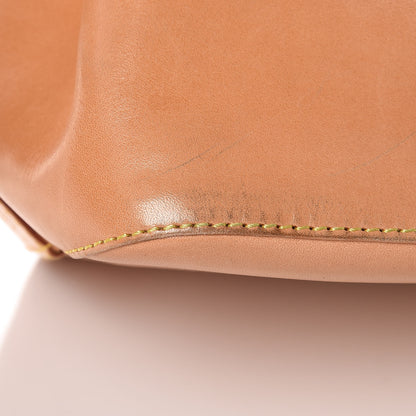 Louis Vuitton 15th Anniversary Japan Vachetta Petit Noe 14 of 16