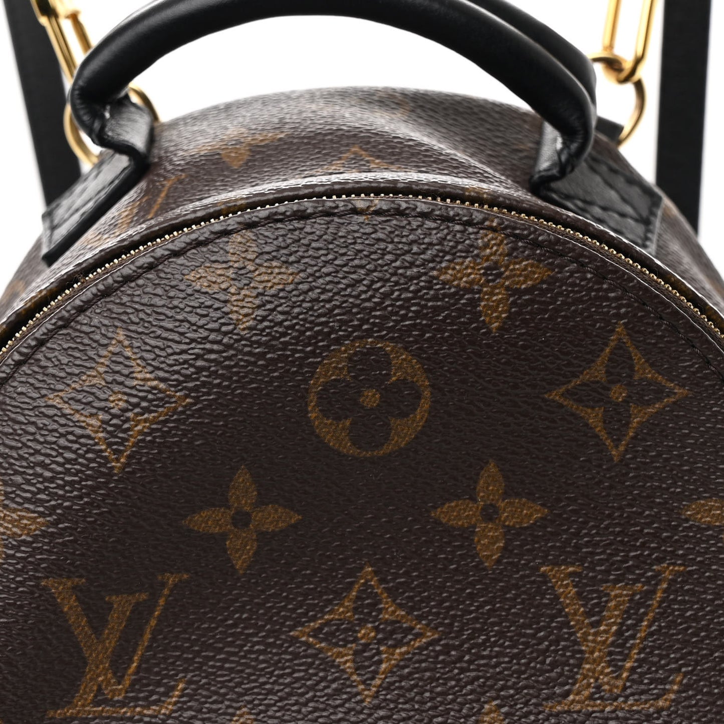 Monogram Palm Springs Backpack Mini
