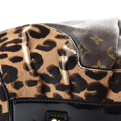 Louis Vuitton Monogram Leopard Stephen Bag 13 of 16