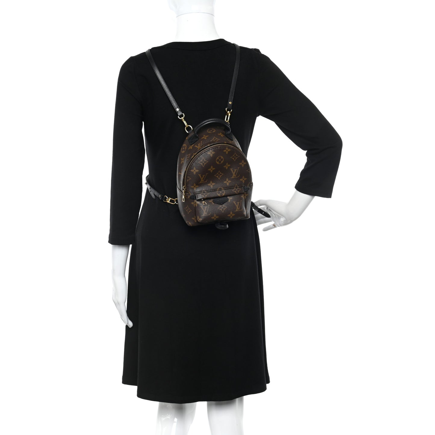 Monogram Palm Springs Backpack Mini