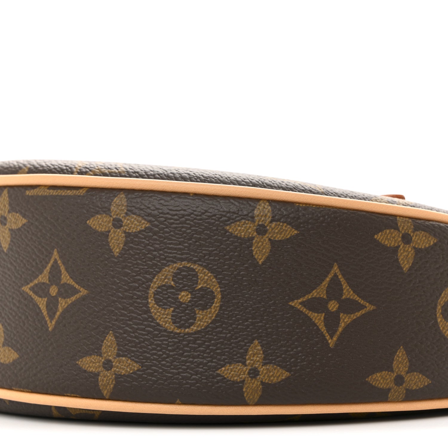 Louis Vuitton Monogram Loop 9 of 12