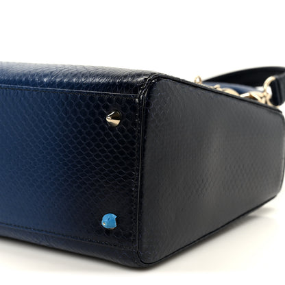 Christian Dior Snakeskin Medium Lady Dior Blue 10 of 10