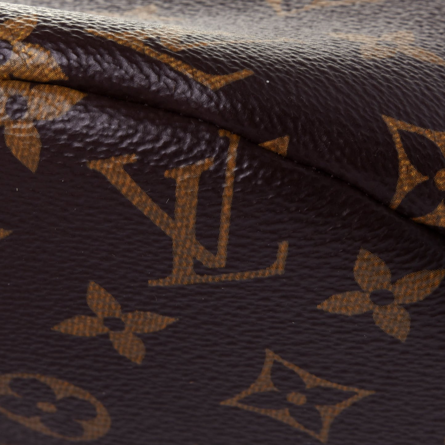 Monogram Bumbag