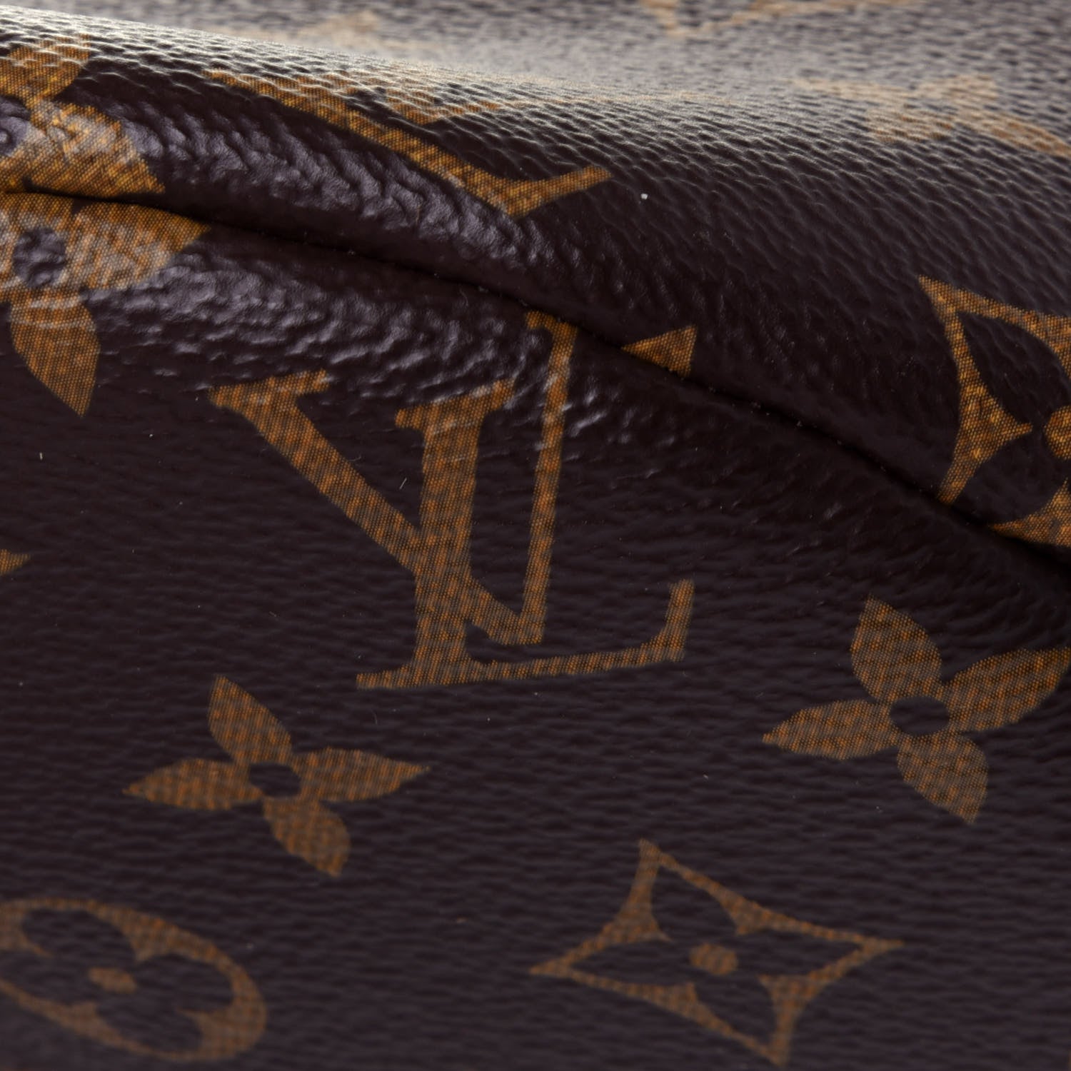 Louis Vuitton Monogram Bumbag 8 of 12