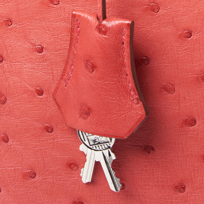 Hermes Ostrich Birkin 30 Bougainvillea 28 of 30