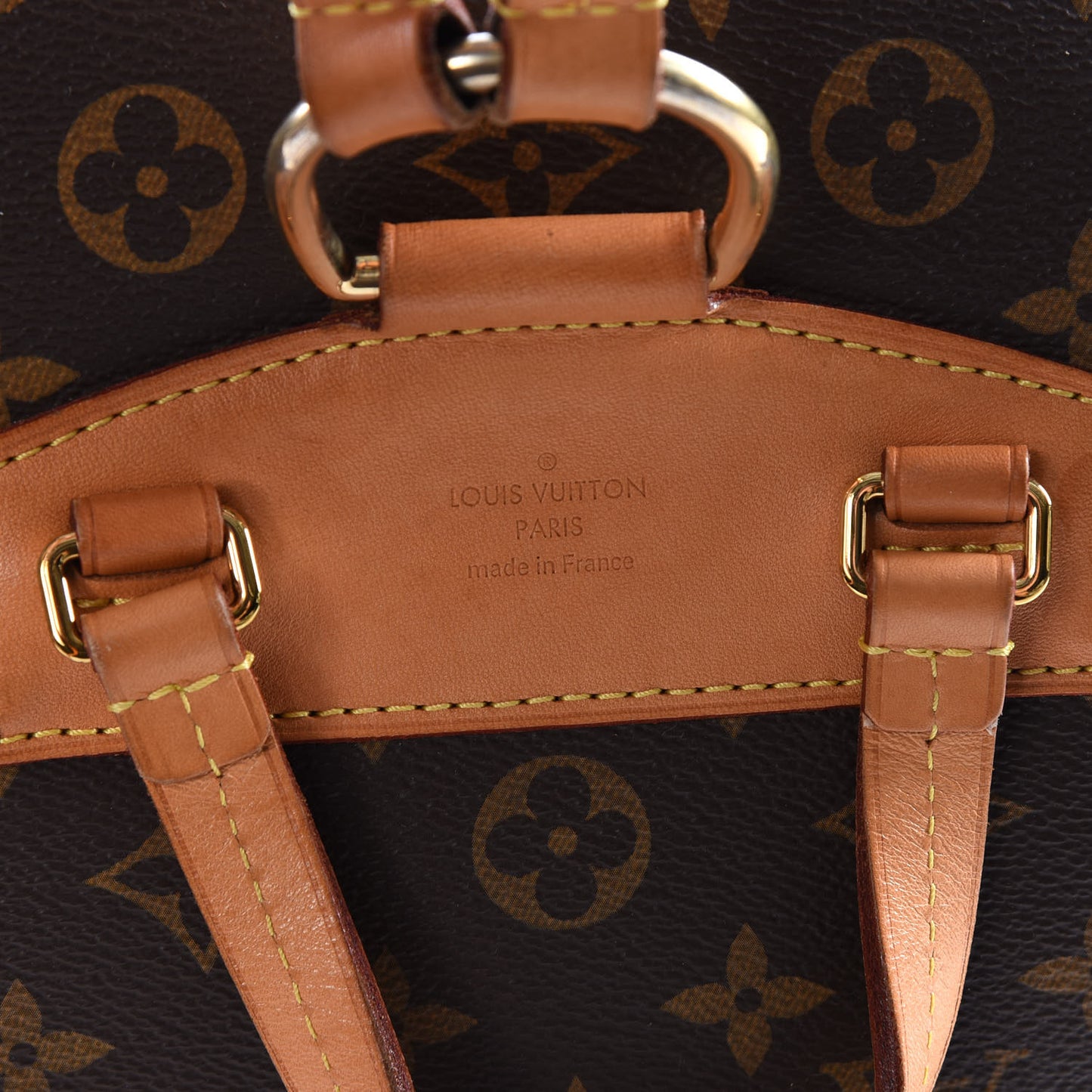 Monogram Montsouris NM Backpack