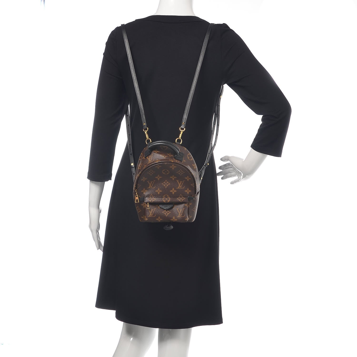 Louis Vuitton Monogram Palm Springs Backpack Mini 2 of 10
