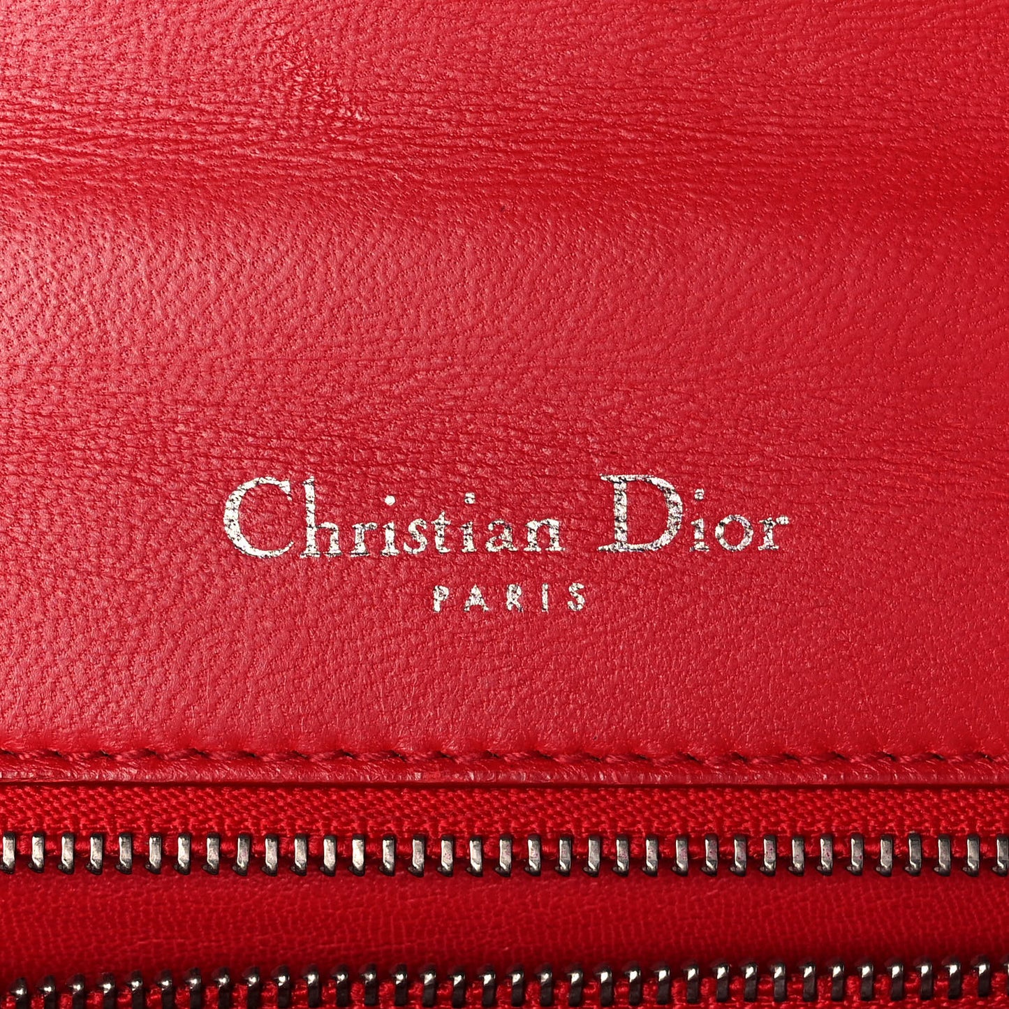 Lizard Medium Diorama Flap Bag Red