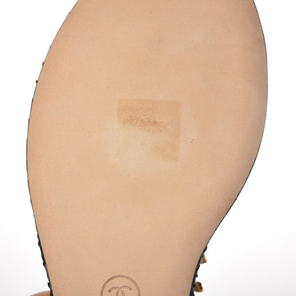 Chanel Python CC Thong Sandals 38 Beige Clair 10 of 13