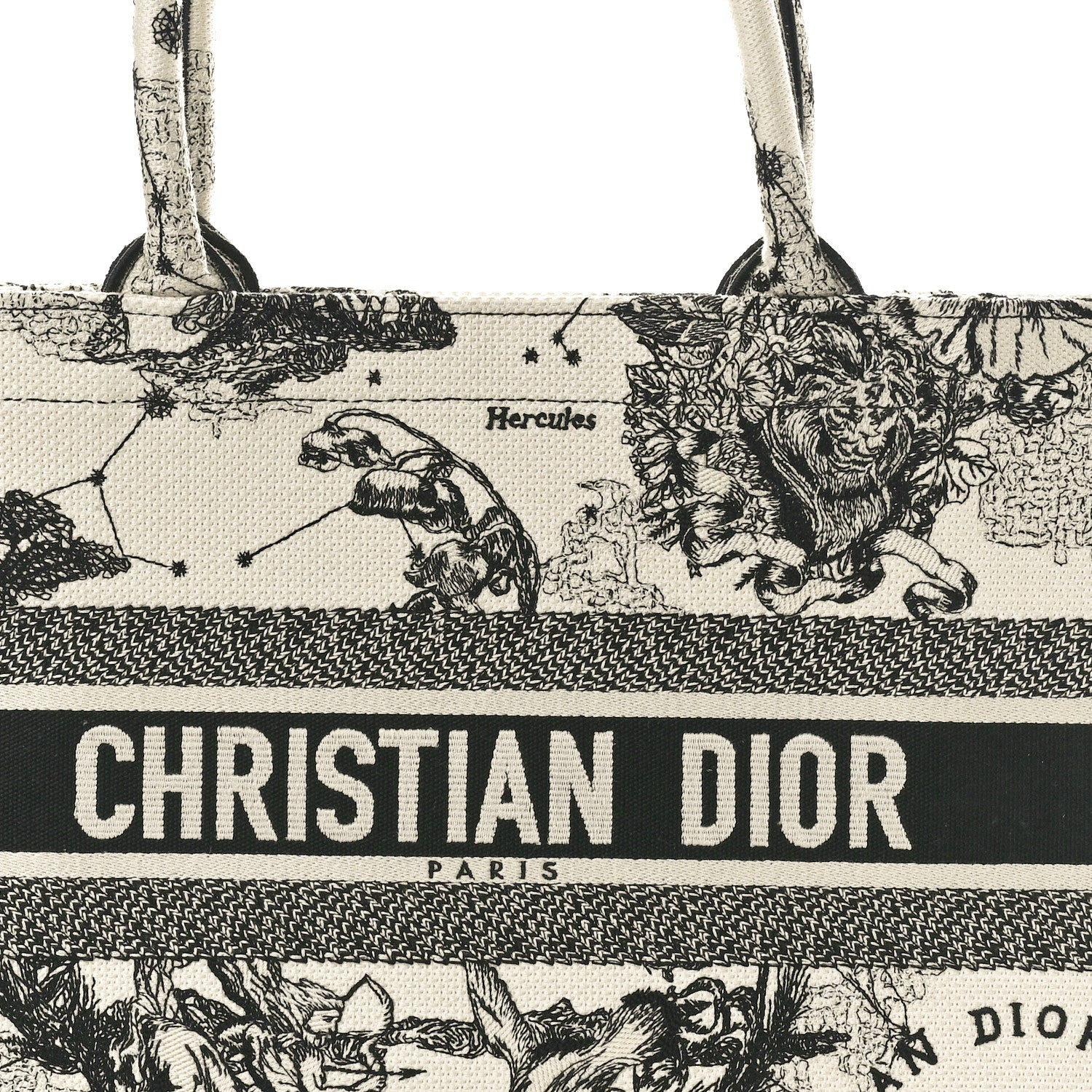 Christian Dior Canvas Zodiac Toile De Jouy Embroidered Medium Book Tote Latte 8 of 10