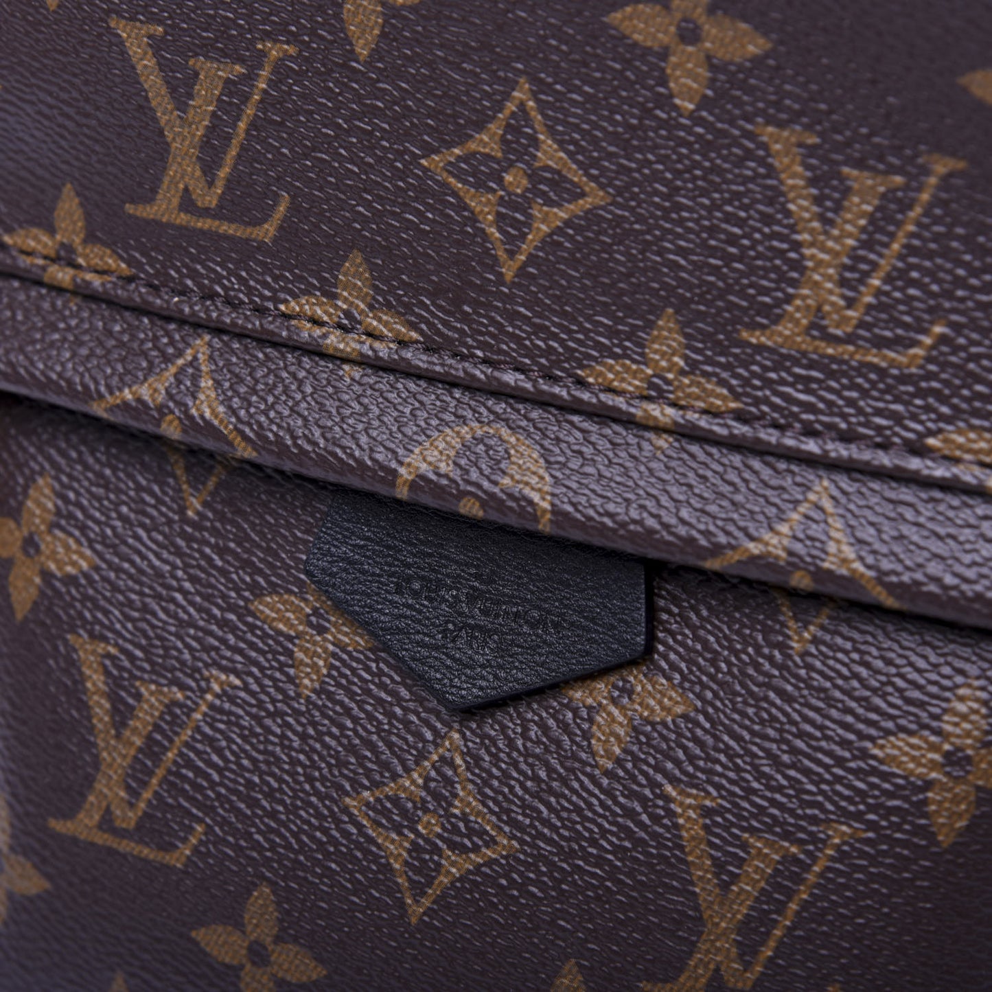 Monogram Palm Springs Backpack PM