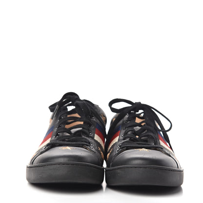 Gucci Calfskin Bee Star Embroidered Sylvie Web Ace Sneakers 40 Black 2 of 14