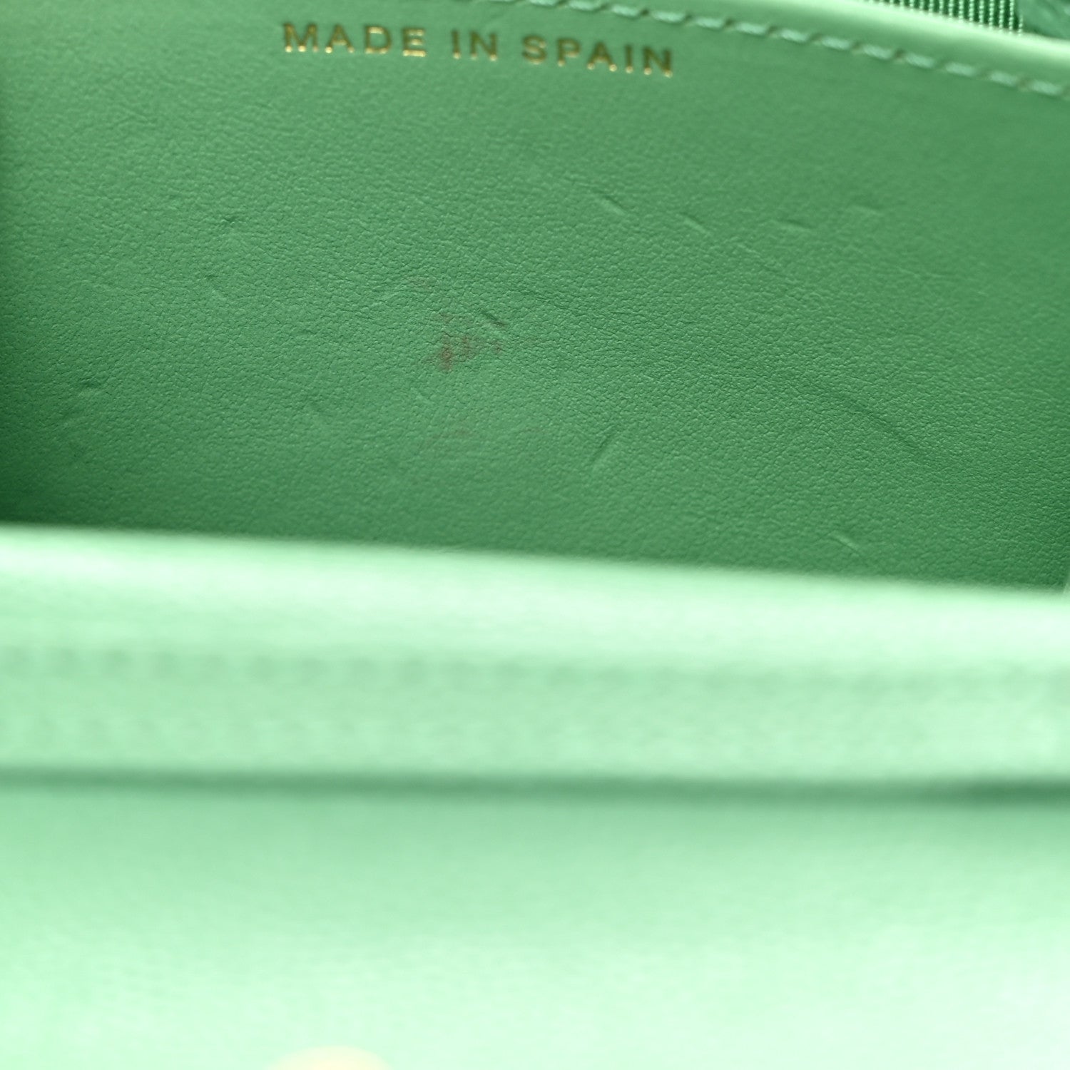 Chanel Caviar Quilted Flap Card Holder On Chain Light Green 9 of 9
