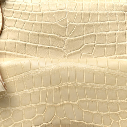 Louis Vuitton Crocodile Sac Louis Beige 19 of 21