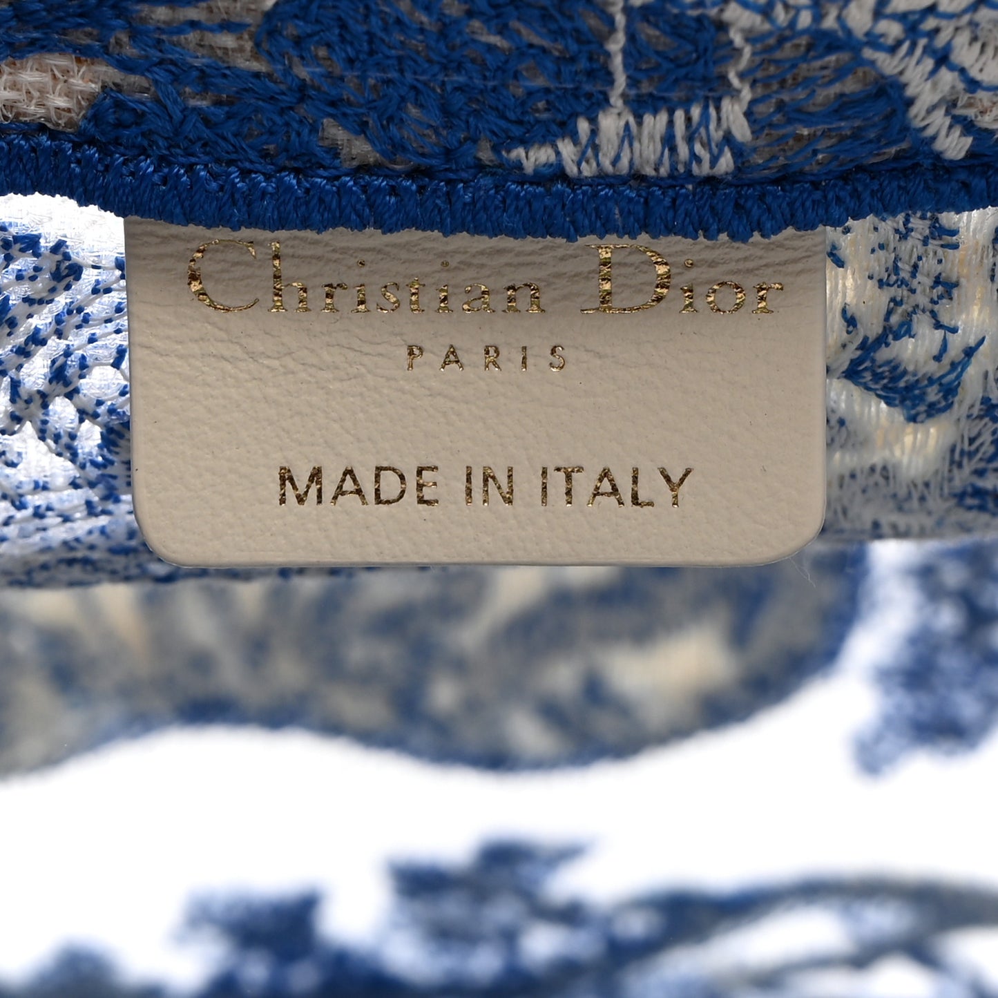 Transparent Canvas Embroidered Small Toile De Jouy Reverse Book Tote Fluorescent Blue