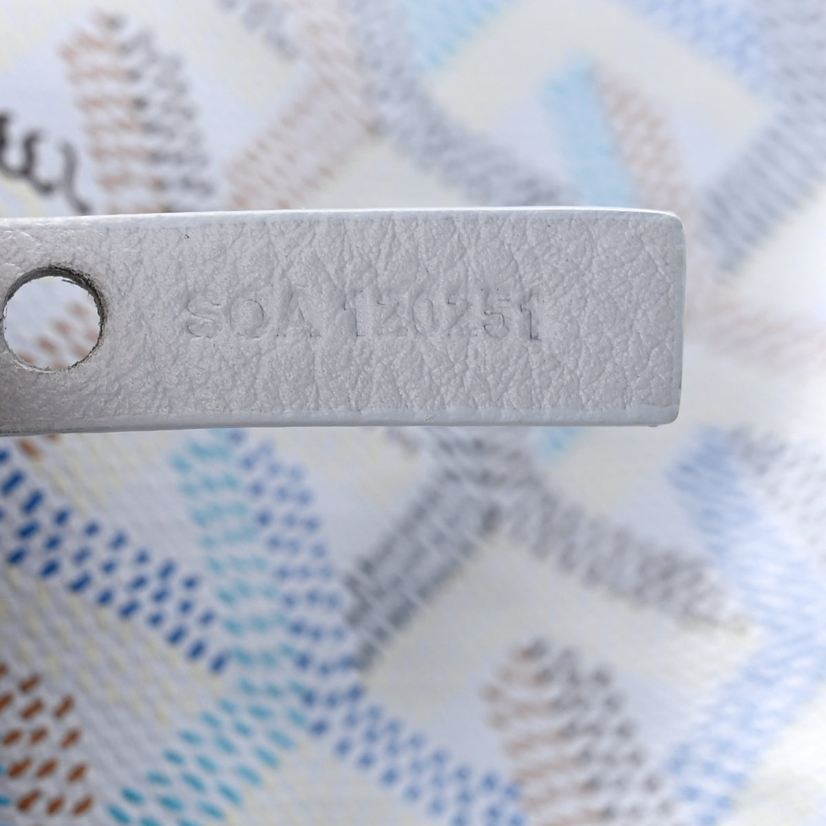 Goyard Goyardine Reversible Mini Anjou Polar Blue 12 of 18